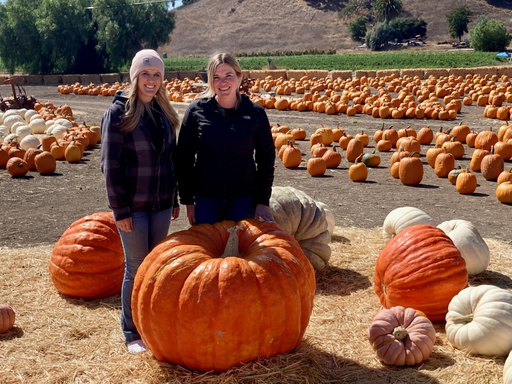 101421 Solvang Pumpkin 2.jpg
